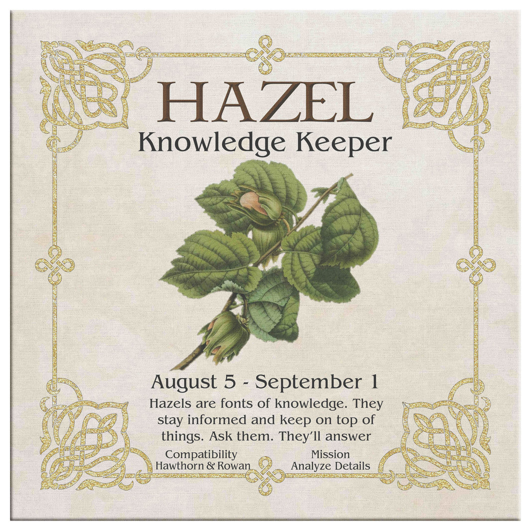Celtic Tree Zodiac HAZEL, The Knowledge Keeper August 5 to Septemb