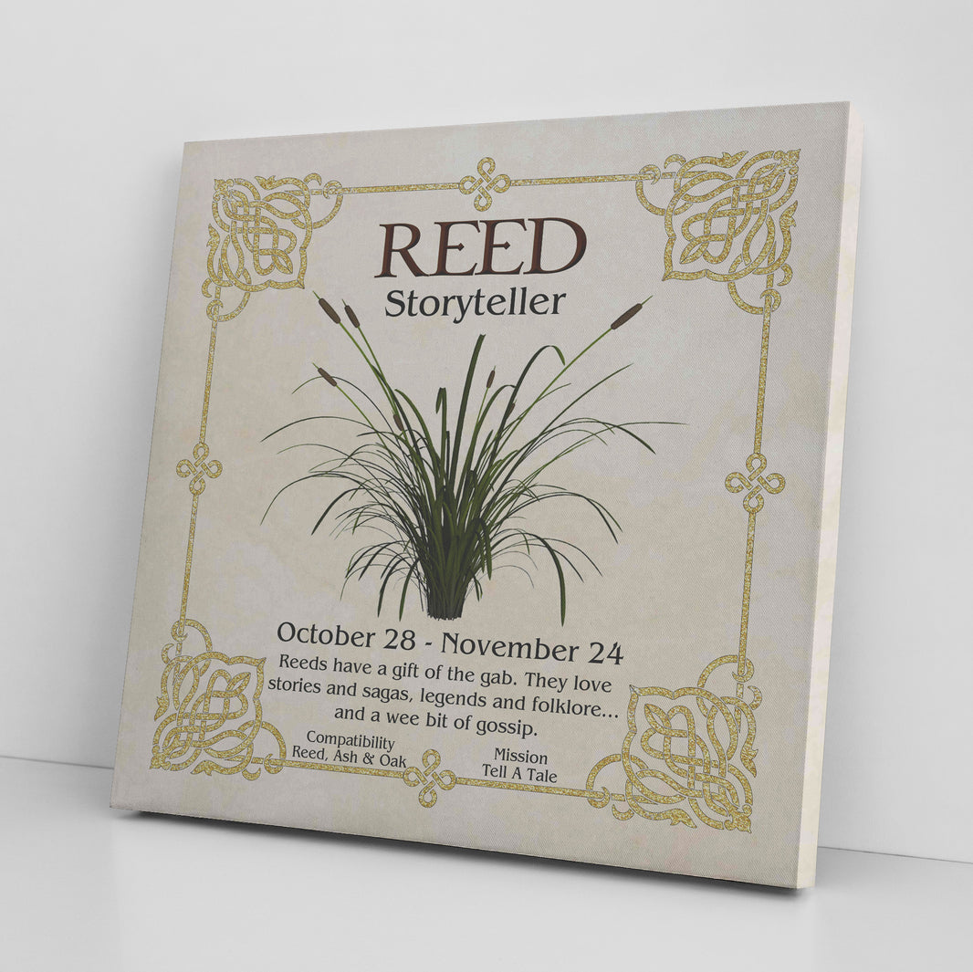 Celtic Reed Month Celtic Tree Zodiac - REED, The Storyteller - October 28 to November 24 ...