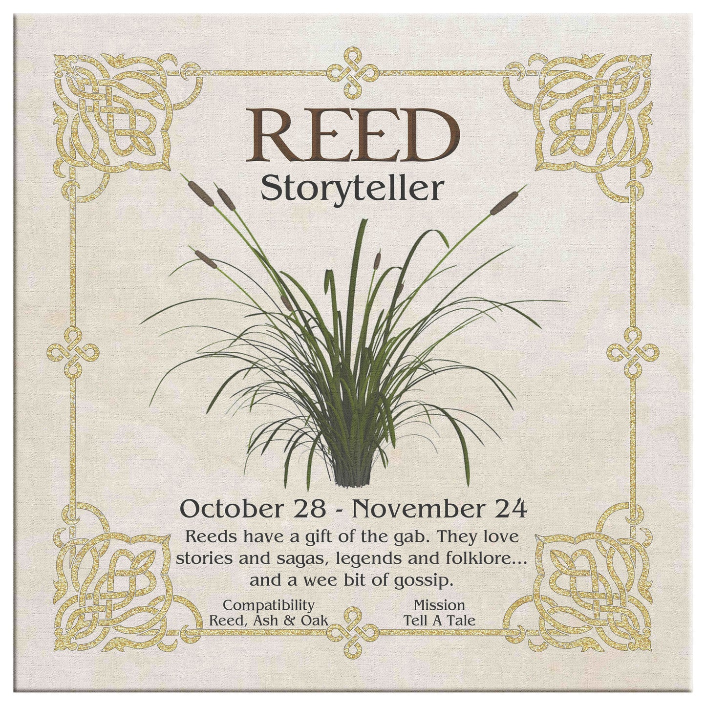 Celtic Tree Zodiac Canvas Print - Reed