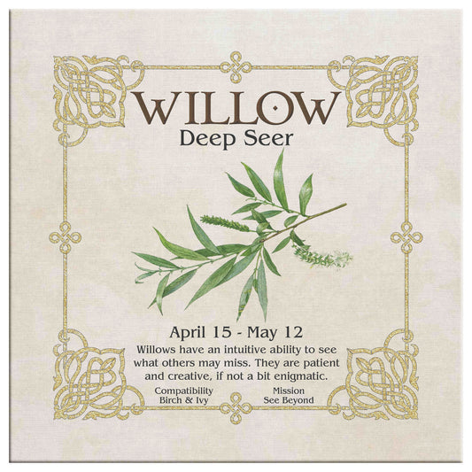 Celtic Tree Zodiac Canvas Print - Willow