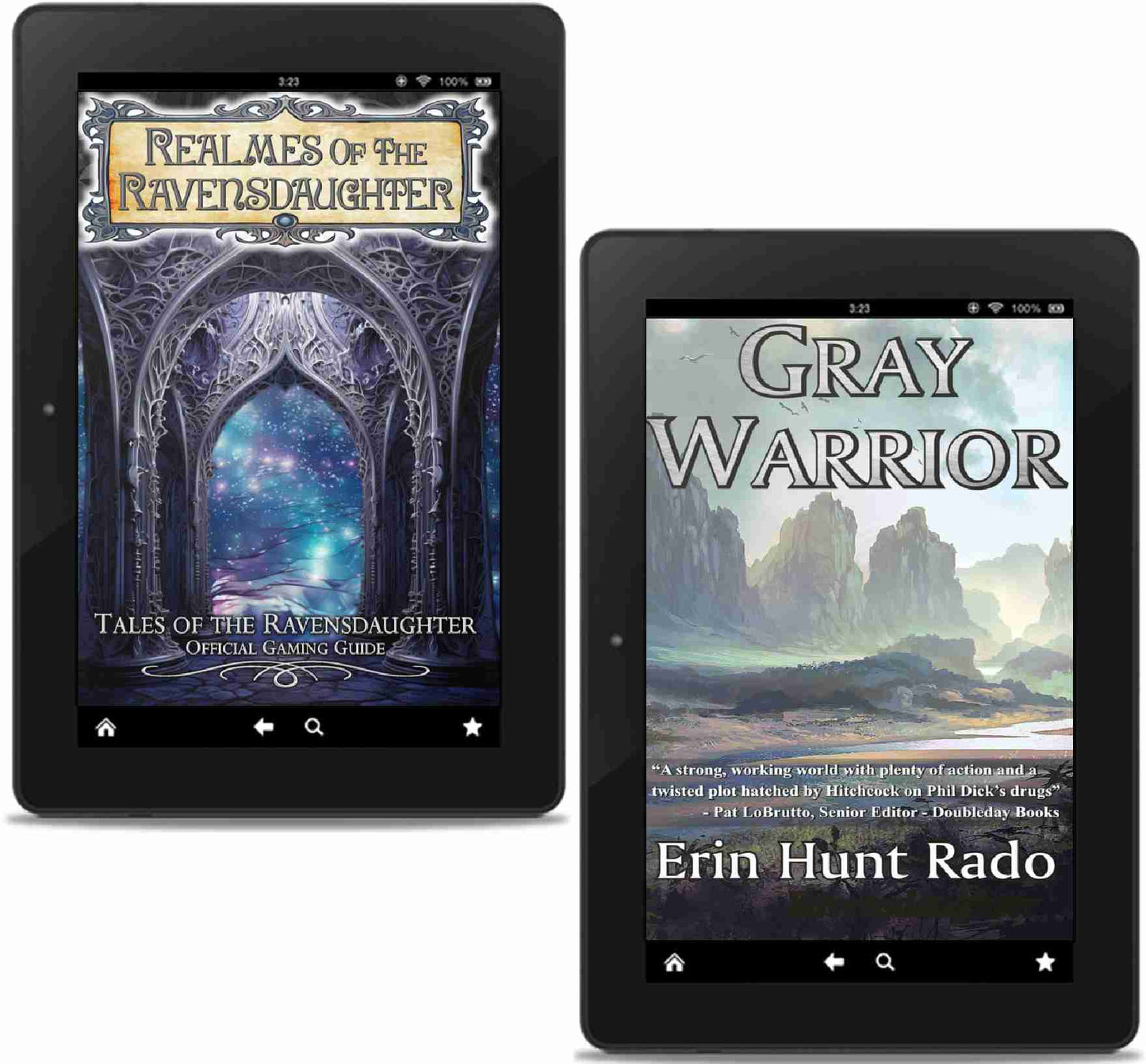 Realmes of the Ravensdaughter eBook PREORDER and Gray Warrior eBook