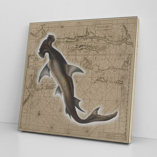 Vintage Nautical Canvas Print - Hammerhead Shark