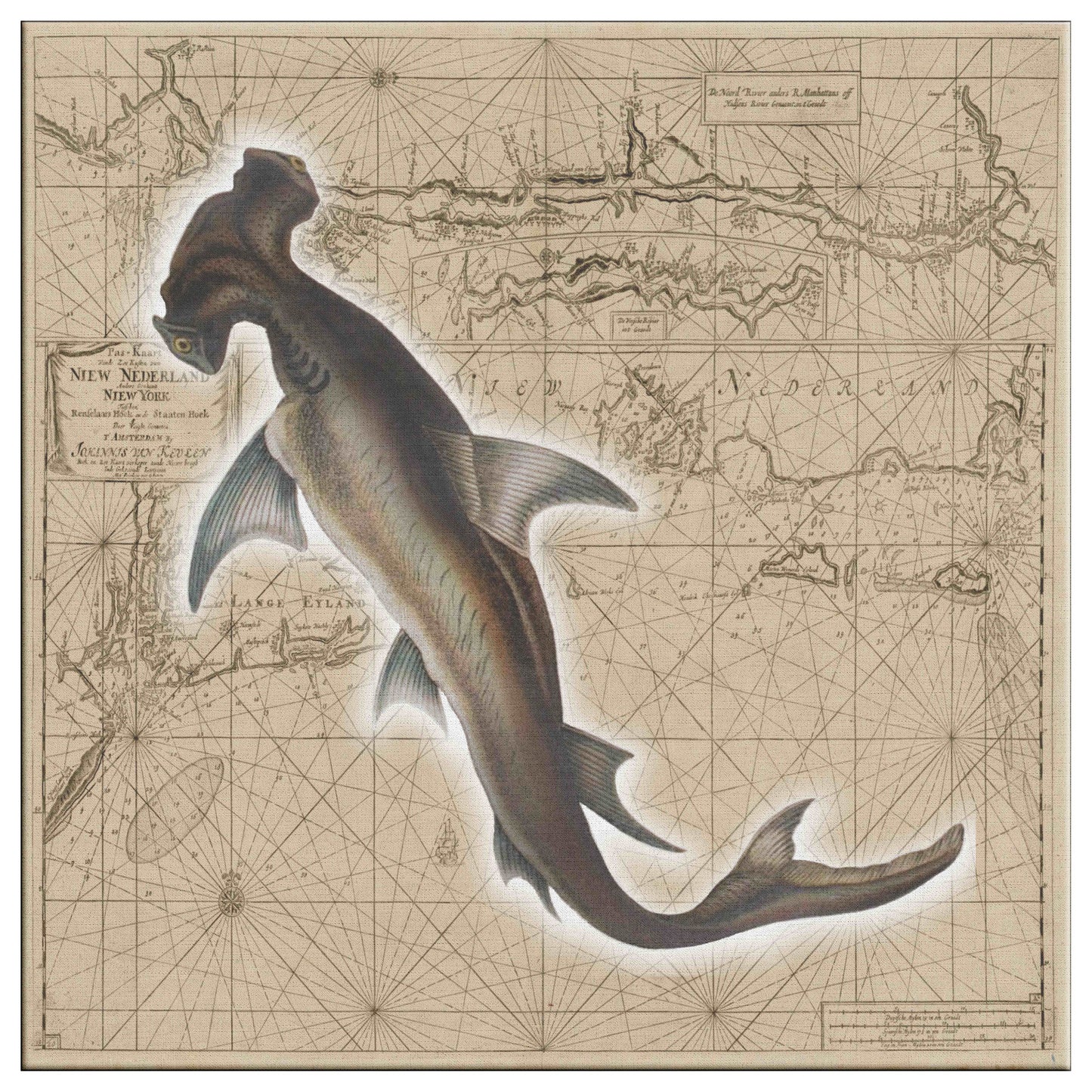 Vintage Nautical Canvas Print - Hammerhead Shark