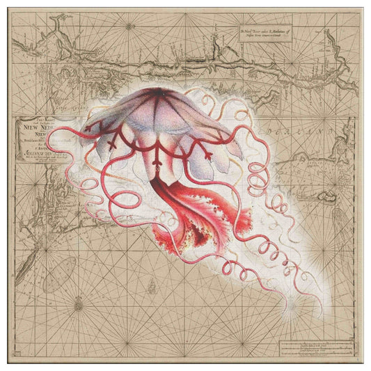 Vintage Nautical Canvas Print - Jellyfish