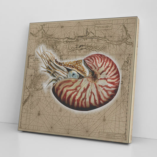 Vintage Nautical Canvas Print - Nautilis