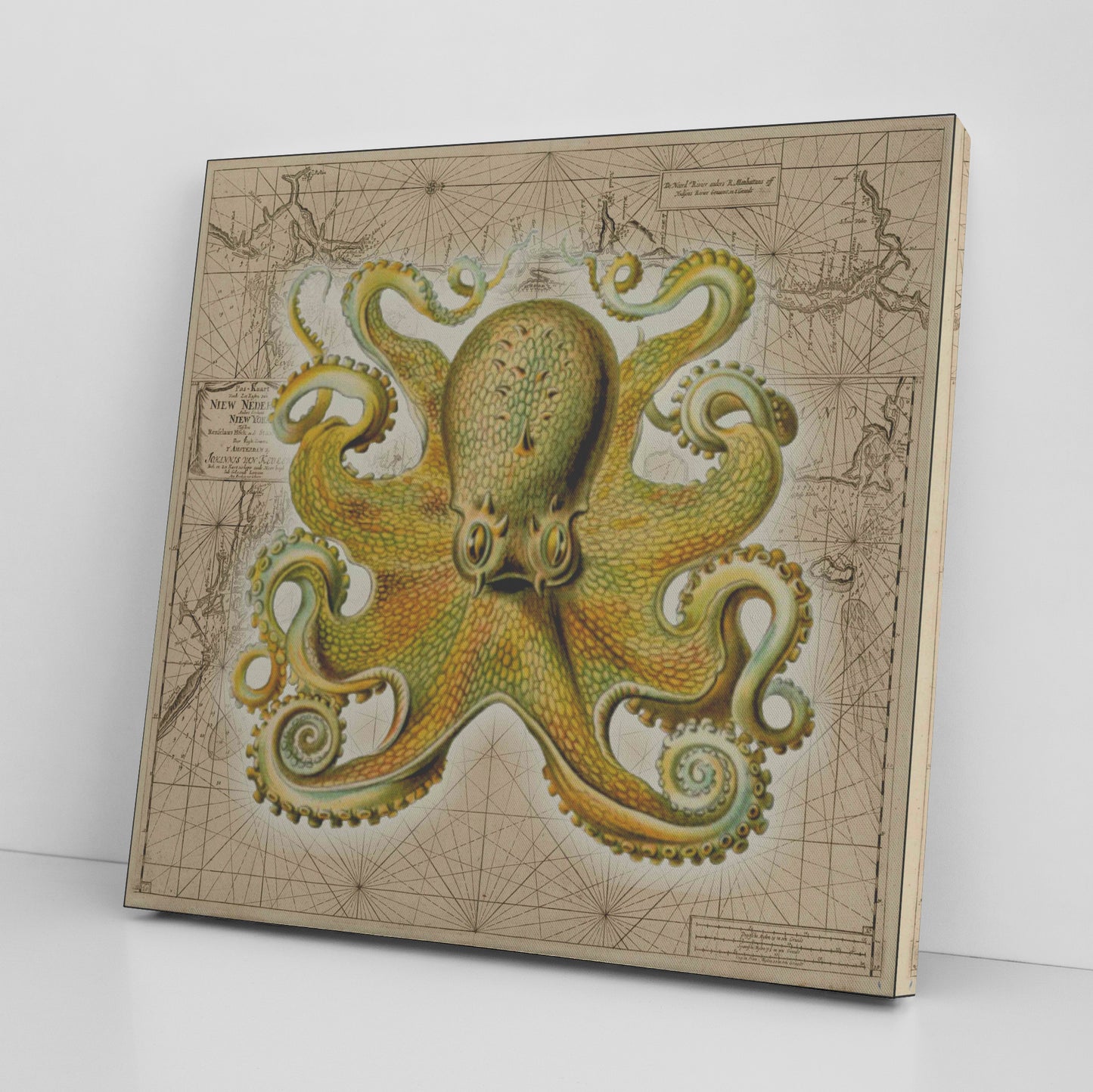Vintage Nautical Canvas Print - Octopus