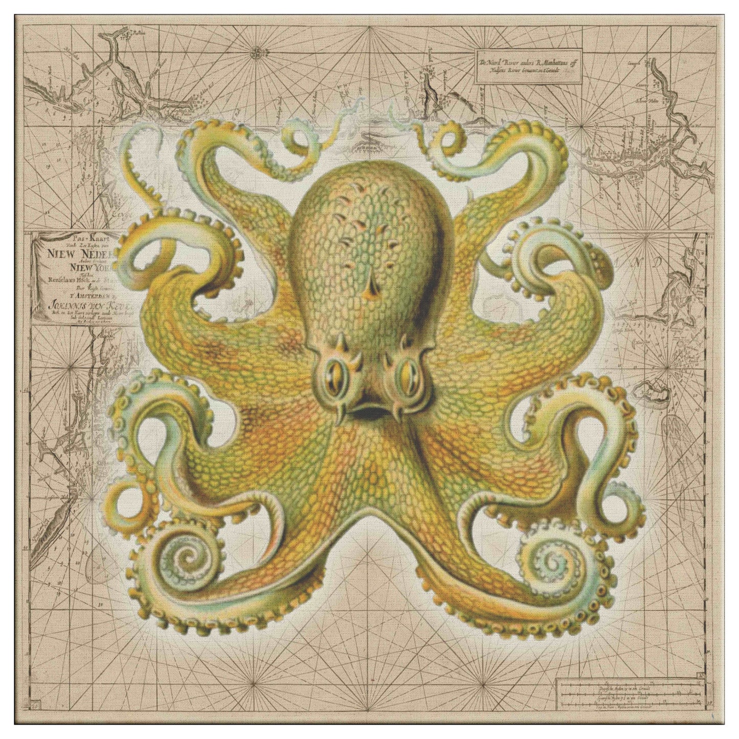 Vintage Nautical Canvas Print - Octopus