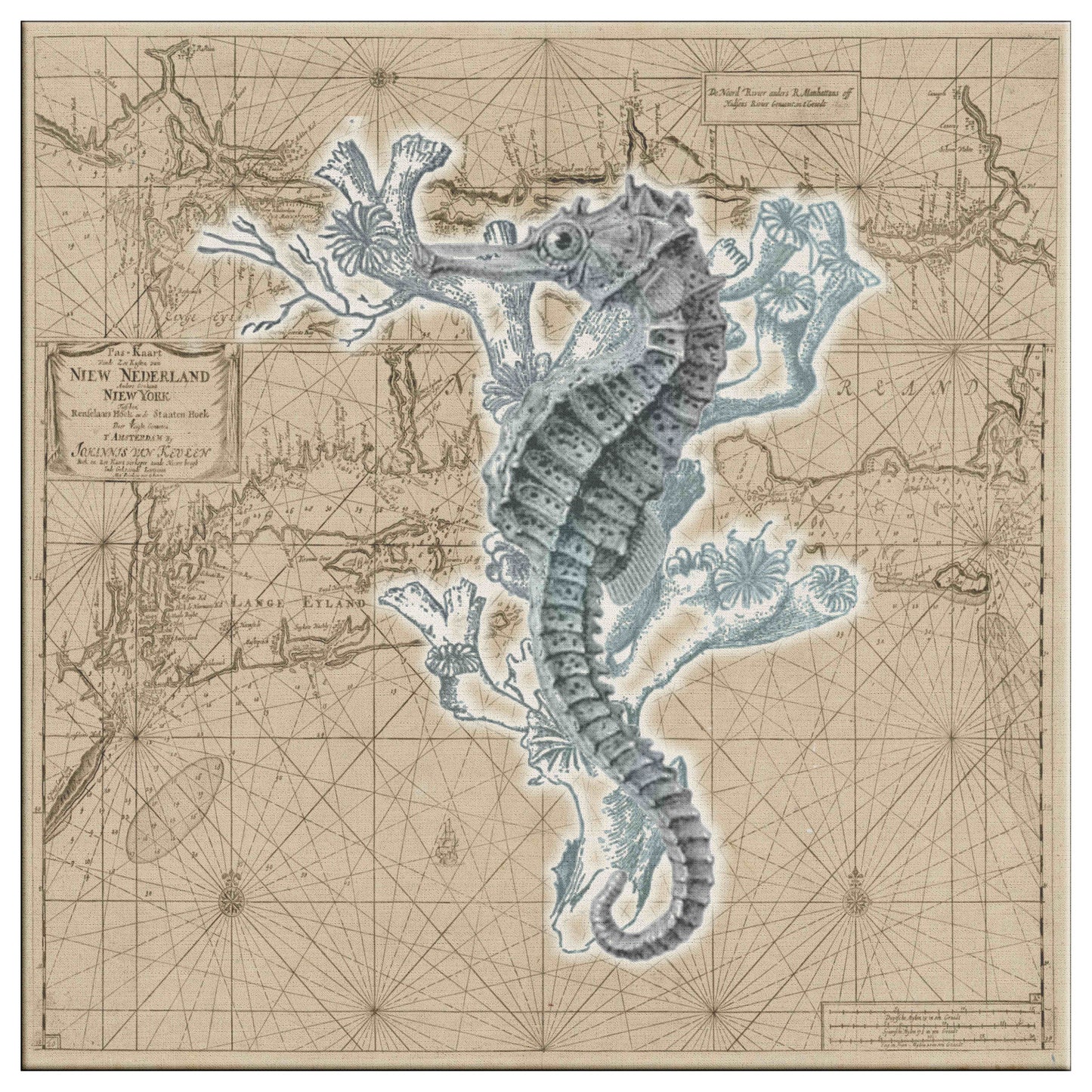 Vintage Nautical Canvas Print - Seahorse