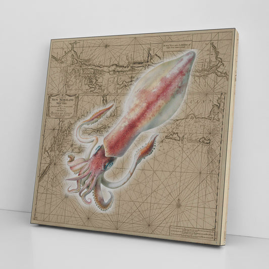 Vintage Nautical Canvas Print - Squid