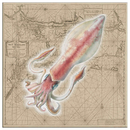 Vintage Nautical Canvas Print - Squid