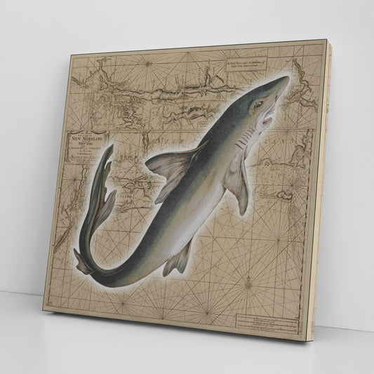Vintage Nautical Canvas Print - Shark