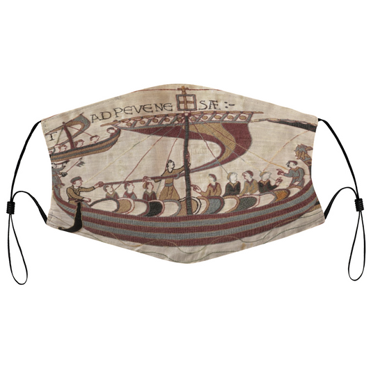 bayeux tapestry, tapestry, norman, saxon, viking, medieval, harold, edward, comet england, britain, france, normandy