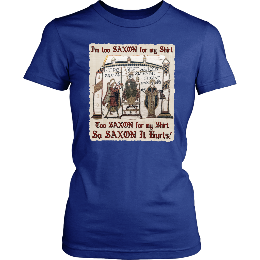 bayeux, bayeux tapestry, battle of hastings, 1066, medieval tapestry, medieval art, Norman, Anglo-Saxon, William Conqueror, Harold Godwinson, middle ages art, medieval shirt, medieval t-shirt, middle ages shirt