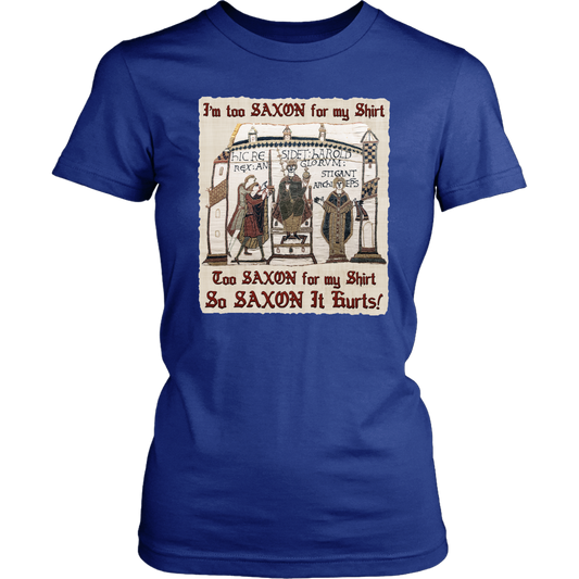 bayeux, bayeux tapestry, battle of hastings, 1066, medieval tapestry, medieval art, Norman, Anglo-Saxon, William Conqueror, Harold Godwinson, middle ages art, medieval shirt, medieval t-shirt, middle ages shirt