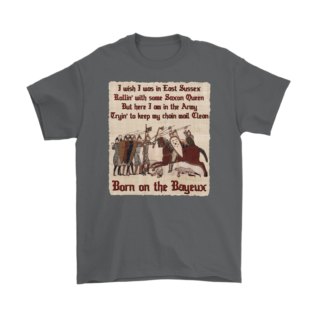 bayeux, bayeux tapestry, battle of hastings, 1066, medieval tapestry, medieval art, Norman, Anglo-Saxon, William Conqueror, Harold Godwinson, middle ages art, medieval shirt, medieval t-shirt, middle ages shirt