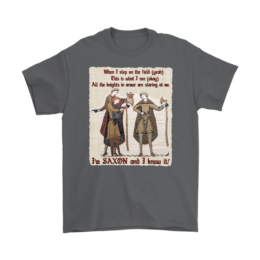 bayeux, bayeux tapestry, battle of hastings, 1066, medieval tapestry, medieval art, Norman, Anglo-Saxon, William Conqueror, Harold Godwinson, middle ages art, medieval shirt, medieval t-shirt, middle ages shirt