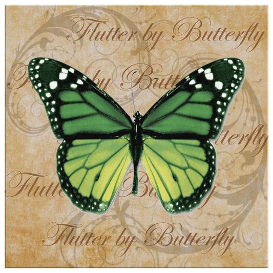 butterfly,butterflies,dragonfly,dragonflies,butterflies and dragonflies,nature,digital,collage