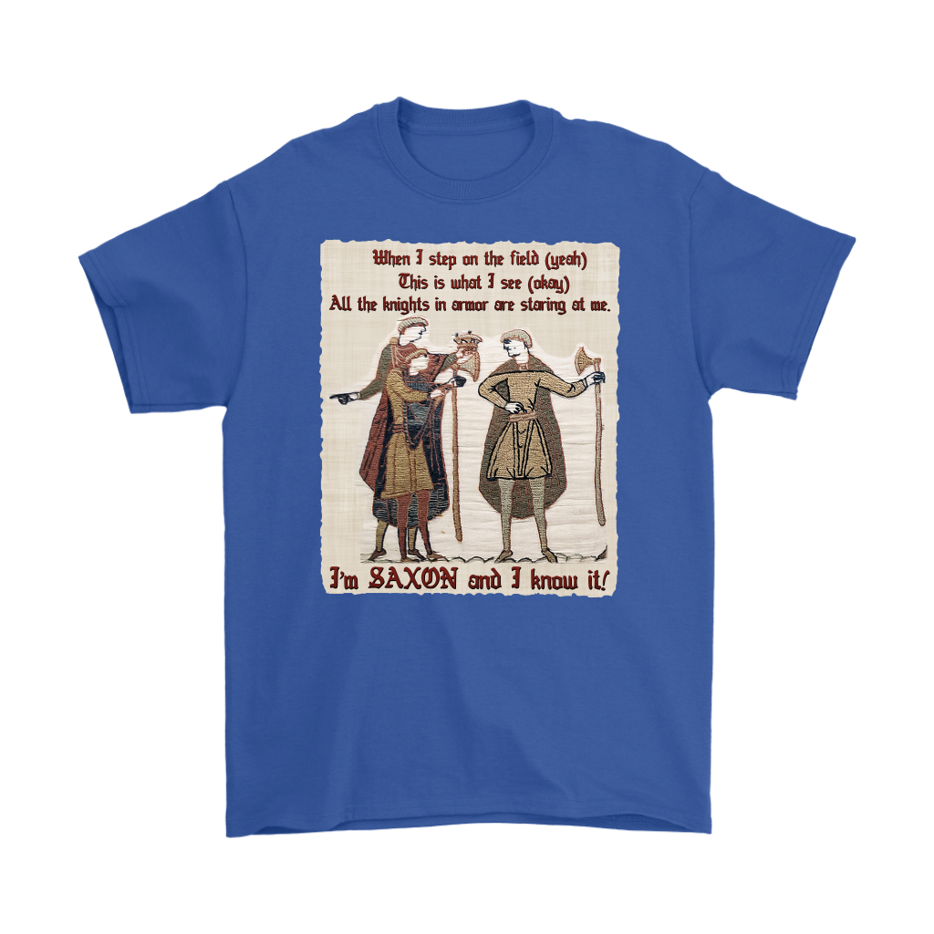 bayeux, bayeux tapestry, battle of hastings, 1066, medieval tapestry, medieval art, Norman, Anglo-Saxon, William Conqueror, Harold Godwinson, middle ages art, medieval shirt, medieval t-shirt, middle ages shirt