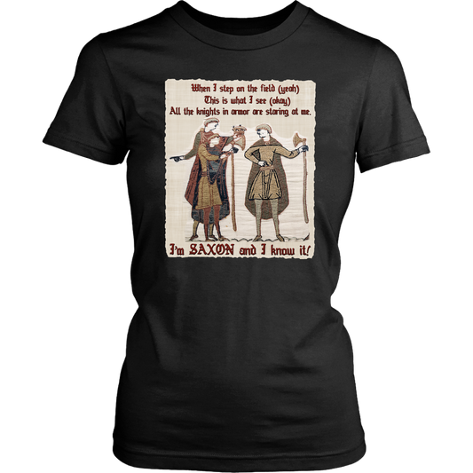 bayeux, bayeux tapestry, battle of hastings, 1066, medieval tapestry, medieval art, Norman, Anglo-Saxon, William Conqueror, Harold Godwinson, middle ages art, medieval shirt, medieval t-shirt, middle ages shirt