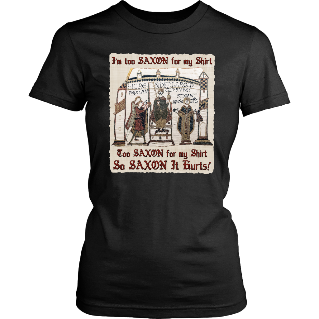 bayeux, bayeux tapestry, battle of hastings, 1066, medieval tapestry, medieval art, Norman, Anglo-Saxon, William Conqueror, Harold Godwinson, middle ages art, medieval shirt, medieval t-shirt, middle ages shirt