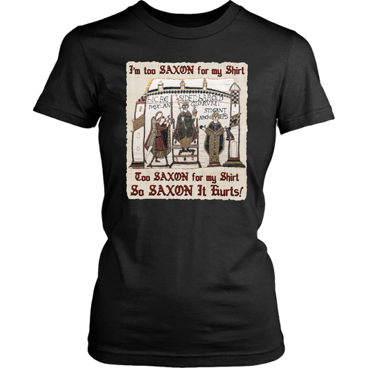 bayeux, bayeux tapestry, battle of hastings, 1066, medieval tapestry, medieval art, Norman, Anglo-Saxon, William Conqueror, Harold Godwinson, middle ages art, medieval shirt, medieval t-shirt, middle ages shirt