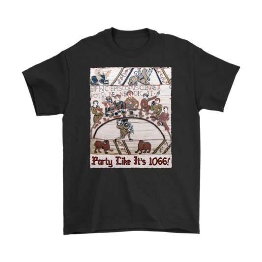 bayeux, bayeux tapestry, battle of hastings, 1066, medieval tapestry, medieval art, Norman, Anglo-Saxon, William Conqueror, Harold Godwinson, middle ages art, medieval shirt, medieval t-shirt, middle ages shirt