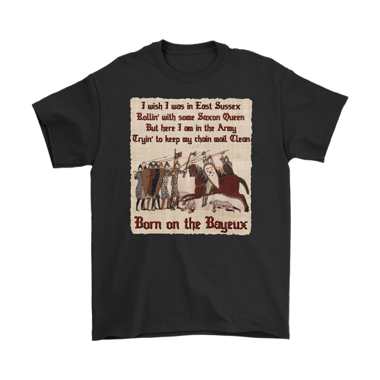 bayeux, bayeux tapestry, battle of hastings, 1066, medieval tapestry, medieval art, Norman, Anglo-Saxon, William Conqueror, Harold Godwinson, middle ages art, medieval shirt, medieval t-shirt, middle ages shirt