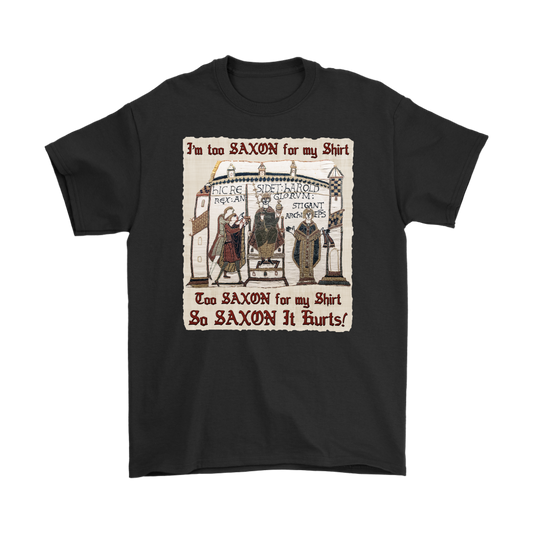 bayeux, bayeux tapestry, battle of hastings, 1066, medieval tapestry, medieval art, Norman, Anglo-Saxon, William Conqueror, Harold Godwinson, middle ages art, medieval shirt, medieval t-shirt, middle ages shirt