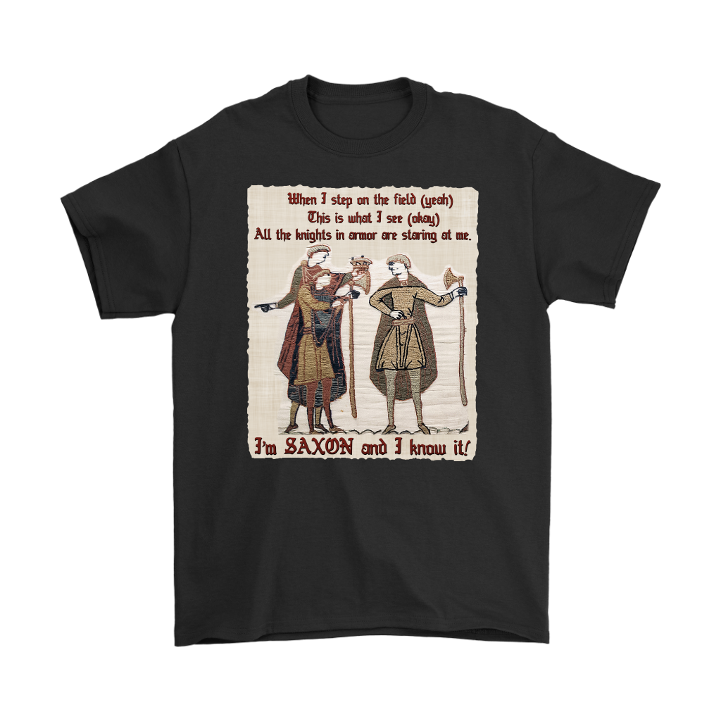 bayeux, bayeux tapestry, battle of hastings, 1066, medieval tapestry, medieval art, Norman, Anglo-Saxon, William Conqueror, Harold Godwinson, middle ages art, medieval shirt, medieval t-shirt, middle ages shirt