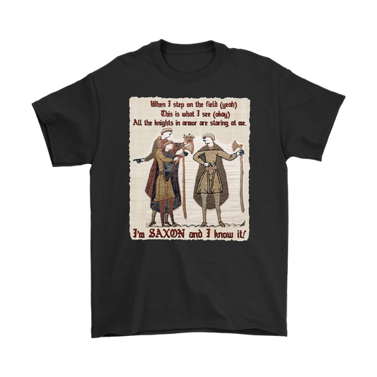 bayeux, bayeux tapestry, battle of hastings, 1066, medieval tapestry, medieval art, Norman, Anglo-Saxon, William Conqueror, Harold Godwinson, middle ages art, medieval shirt, medieval t-shirt, middle ages shirt