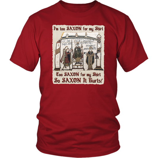 bayeux, bayeux tapestry, battle of hastings, 1066, medieval tapestry, medieval art, Norman, Anglo-Saxon, William Conqueror, Harold Godwinson, middle ages art, medieval shirt, medieval t-shirt, middle ages shirt