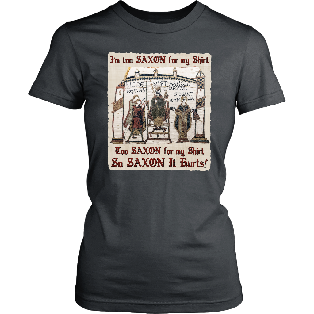 bayeux, bayeux tapestry, battle of hastings, 1066, medieval tapestry, medieval art, Norman, Anglo-Saxon, William Conqueror, Harold Godwinson, middle ages art, medieval shirt, medieval t-shirt, middle ages shirt