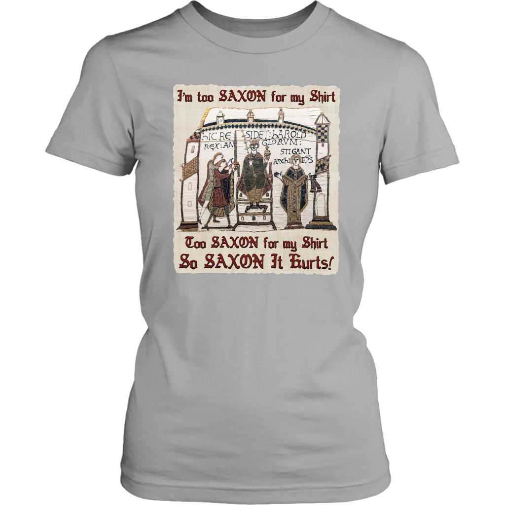 bayeux, bayeux tapestry, battle of hastings, 1066, medieval tapestry, medieval art, Norman, Anglo-Saxon, William Conqueror, Harold Godwinson, middle ages art, medieval shirt, medieval t-shirt, middle ages shirt