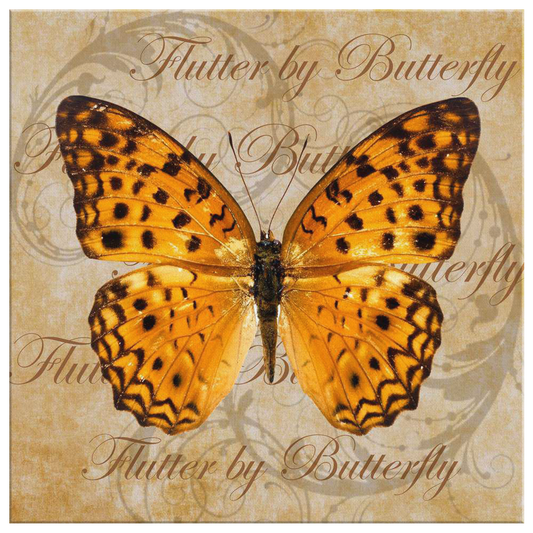 butterfly,butterflies,dragonfly,dragonflies,butterflies and dragonflies,nature,digital,collage