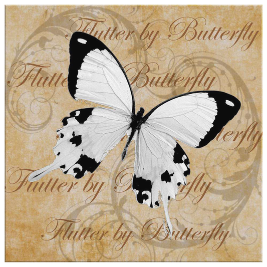 butterfly,butterflies,dragonfly,dragonflies,butterflies and dragonflies,nature,digital,collage