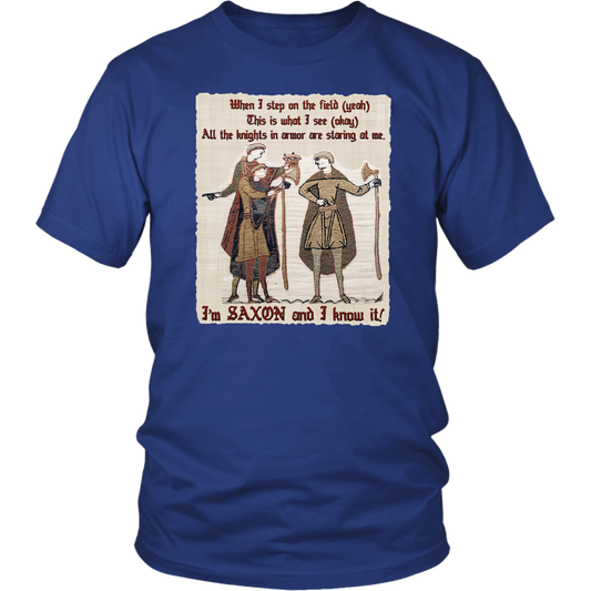 bayeux, bayeux tapestry, battle of hastings, 1066, medieval tapestry, medieval art, Norman, Anglo-Saxon, William Conqueror, Harold Godwinson, middle ages art, medieval shirt, medieval t-shirt, middle ages shirt