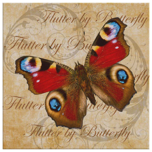 butterfly,butterflies,dragonfly,dragonflies,butterflies and dragonflies,nature,digital,collage