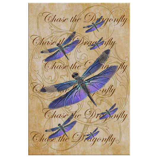 butterfly,butterflies,dragonfly,dragonflies,butterflies and dragonflies,nature,digital,collage