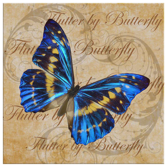 butterfly,butterflies,dragonfly,dragonflies,butterflies and dragonflies,nature,digital,collage