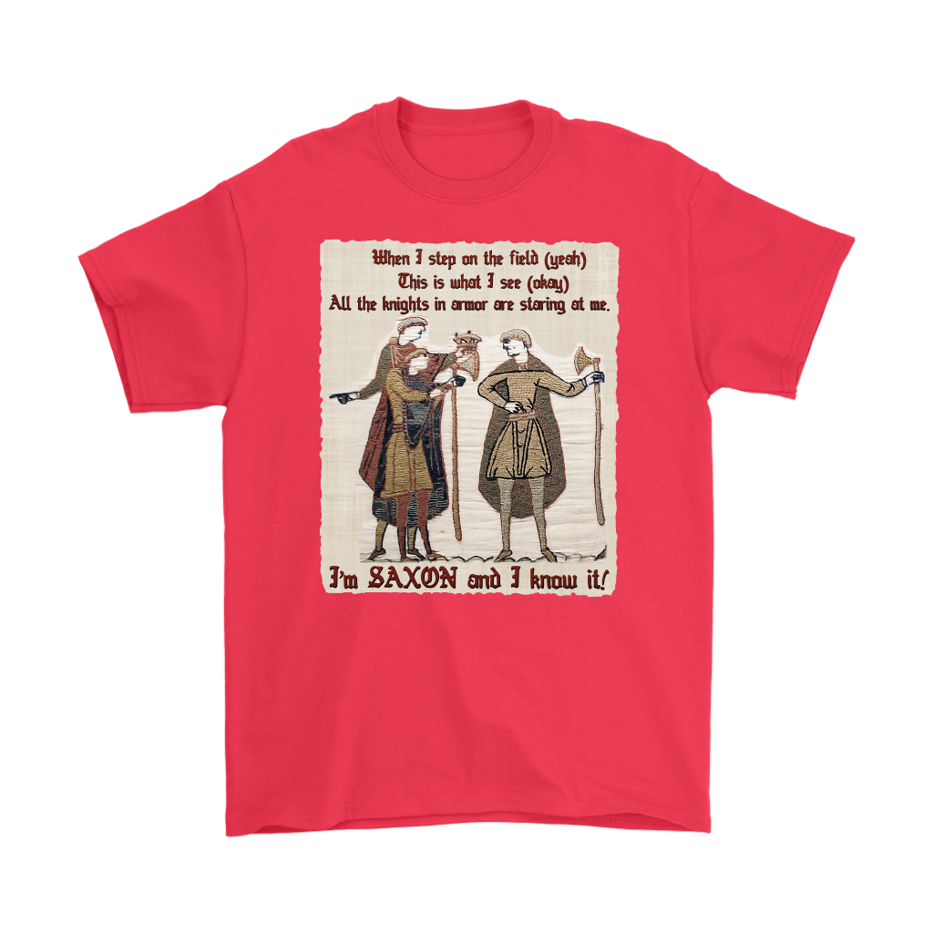 bayeux, bayeux tapestry, battle of hastings, 1066, medieval tapestry, medieval art, Norman, Anglo-Saxon, William Conqueror, Harold Godwinson, middle ages art, medieval shirt, medieval t-shirt, middle ages shirt