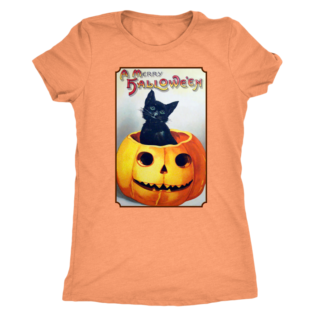 A Merry Halloween Cat in Pumpkin Women's Tri-Blend T-Shirt