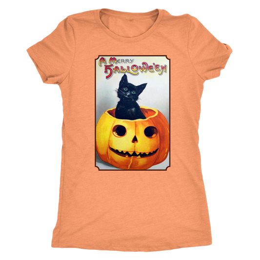 A Merry Halloween Cat in Pumpkin Women's Tri-Blend T-Shirt